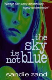 The Sky is not Blue - sandie zand
